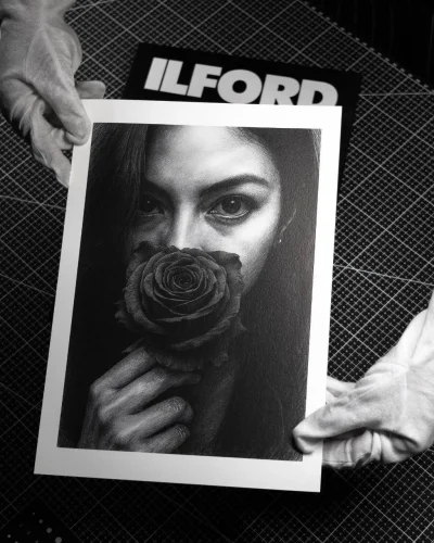 Atmospheric monochrome charcoal-style portrait print of a woman holding a rose over her face, held in white gloves and printed on ILFORD archival fine art paper using Canon PRO-520.